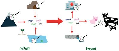 Revealing antibiotic resistance’s ancient roots: insights from pristine ecosystems